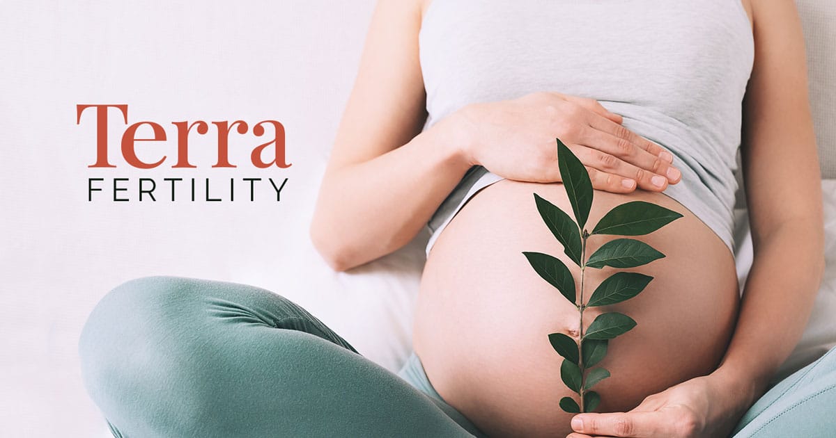 Terra Fertility