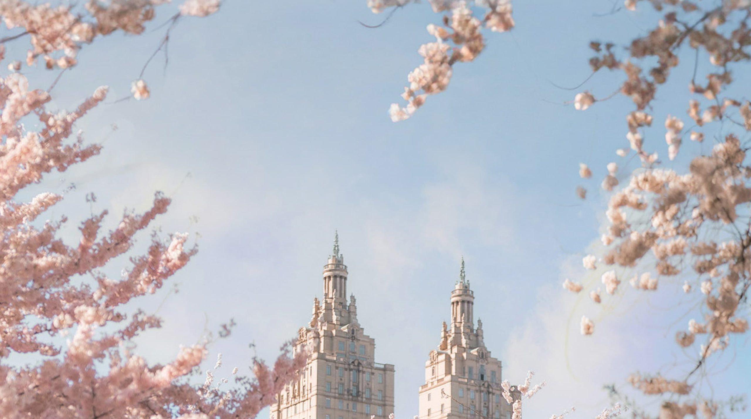 IVF Treatment NYC
